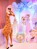 Pastel Pink Carnival Circus Themed 8x8 Backdrop / Step & Repeat, Design, Print and Ship!